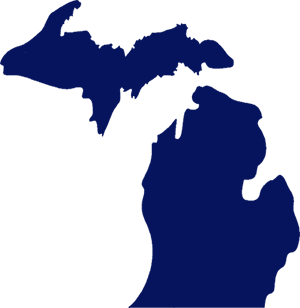 michigan insurance licensing